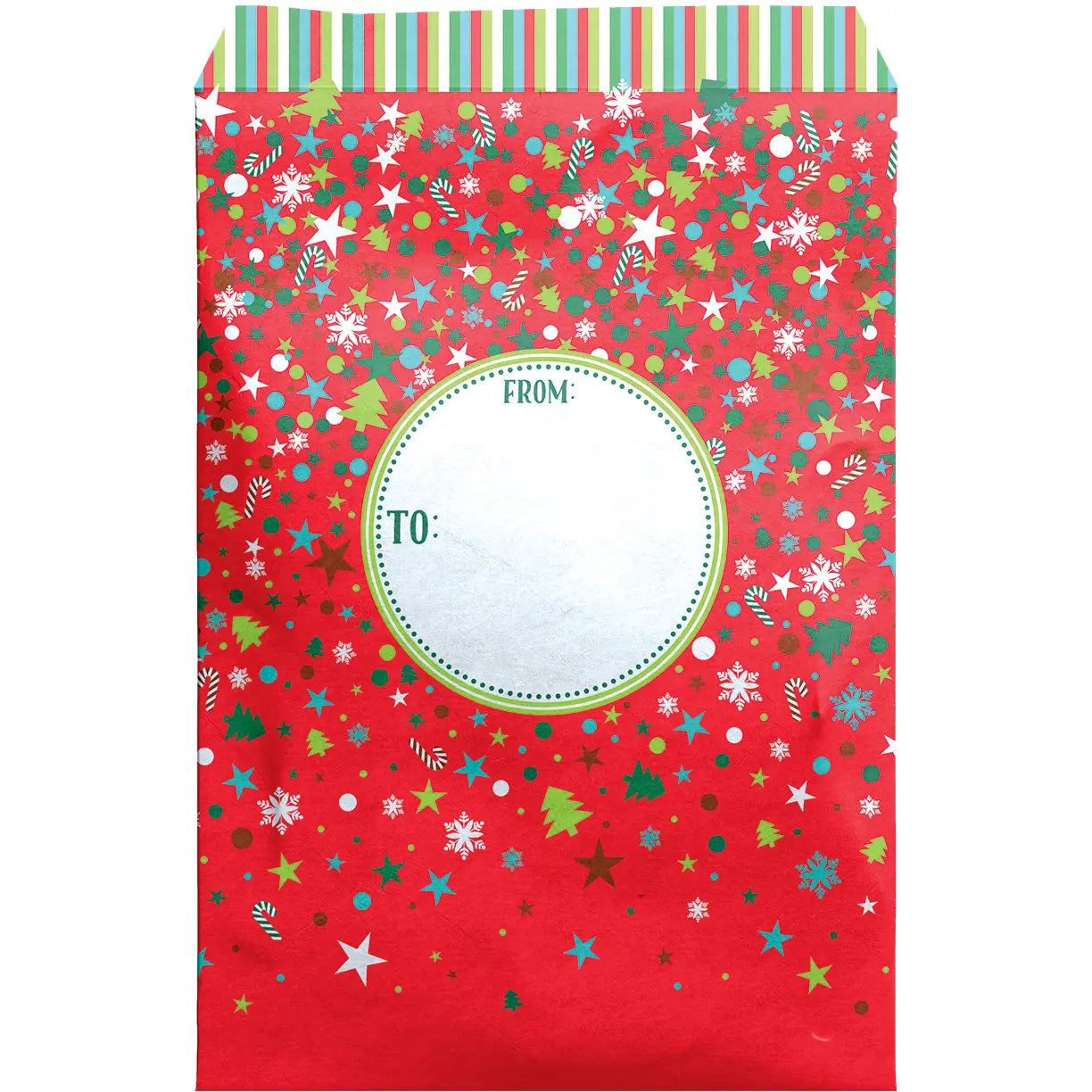 Christmas Party Mailing Envelope - Large