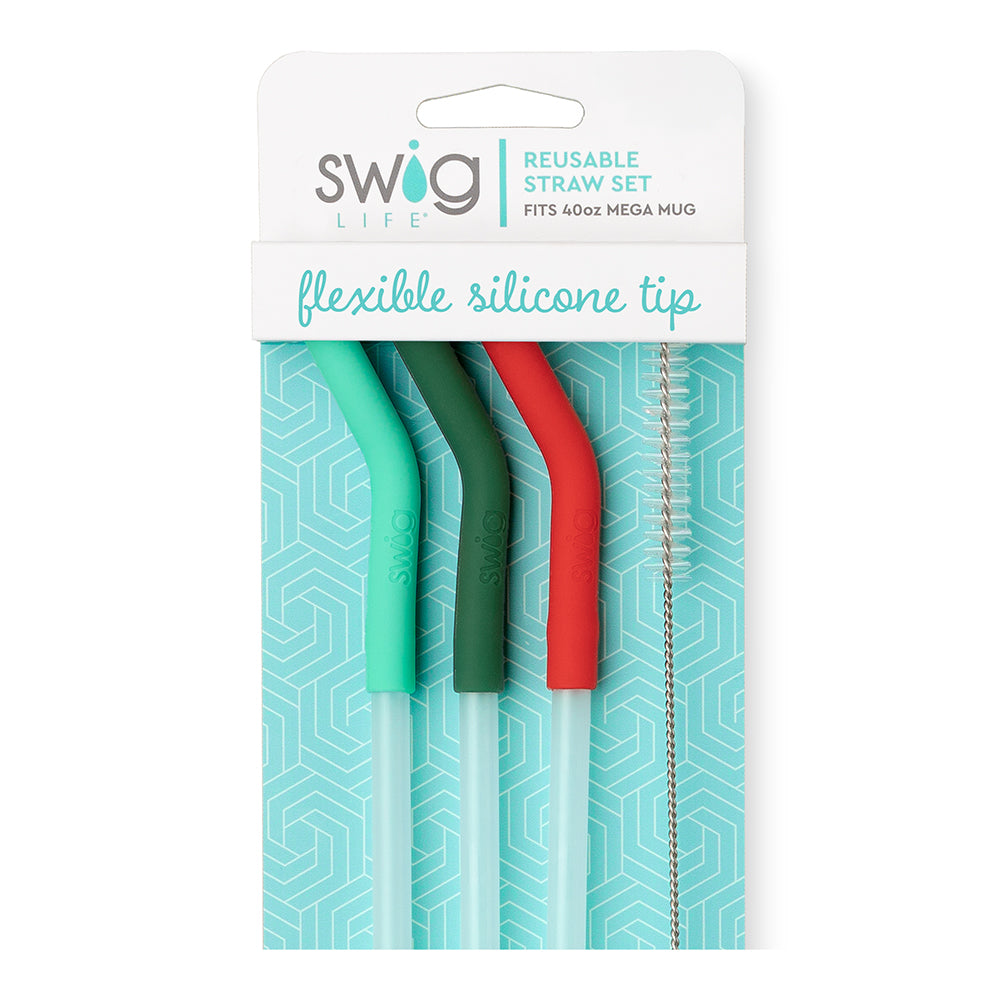 Mint/Green/Red Reusable Straw Set