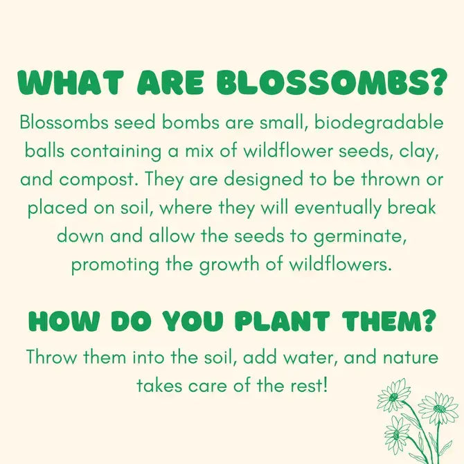 Blossombs Mini Box - Merry Christmas - 4 Seed Bomb Balls