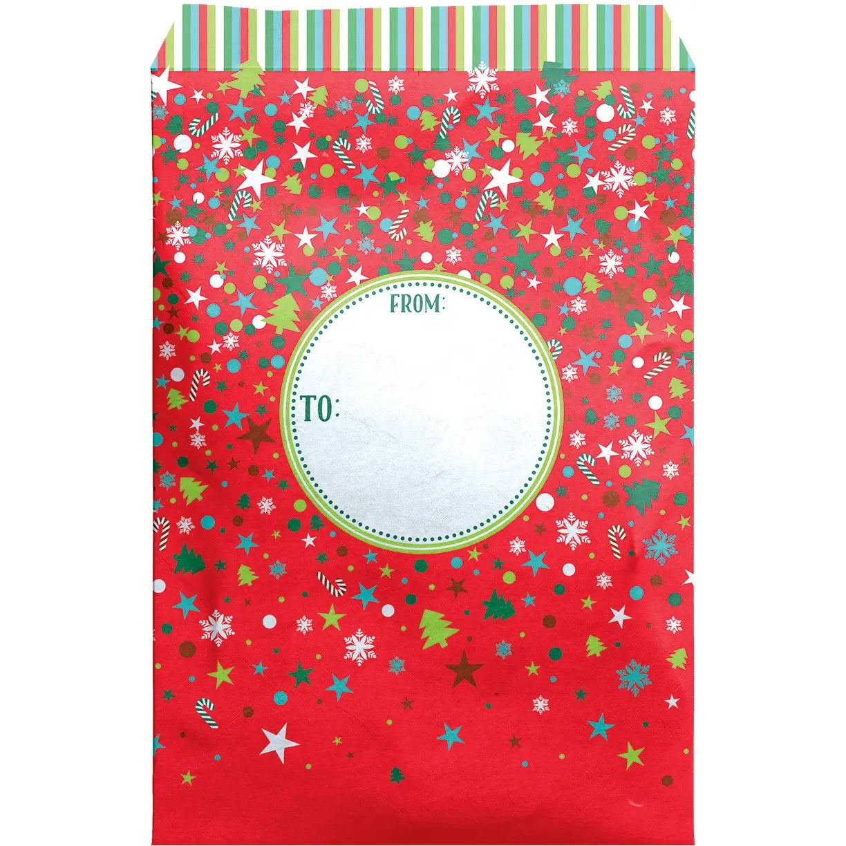 Christmas Party Mailing Envelope - Large